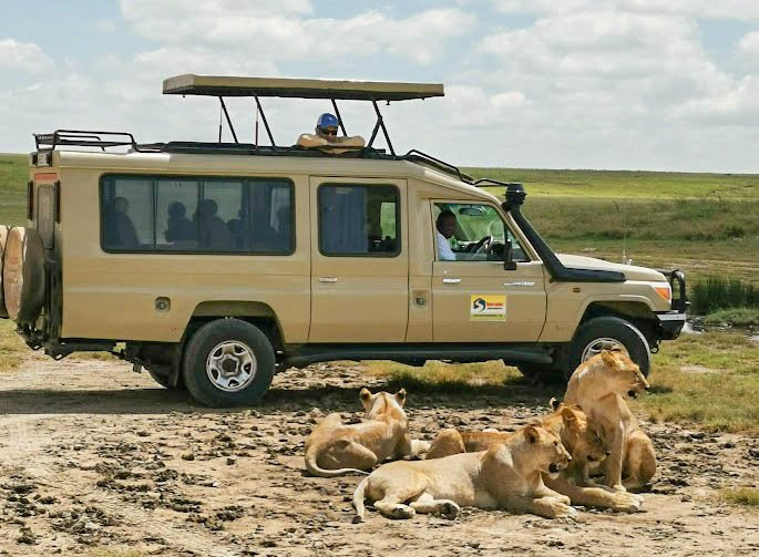 Africa, Tanzania, Serengeti